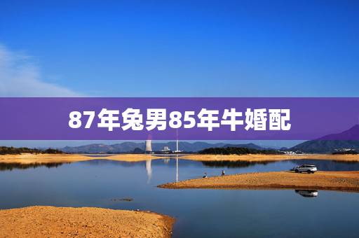 87年兔男85年牛婚配，男属兔87年，女属牛85年 相配吗？