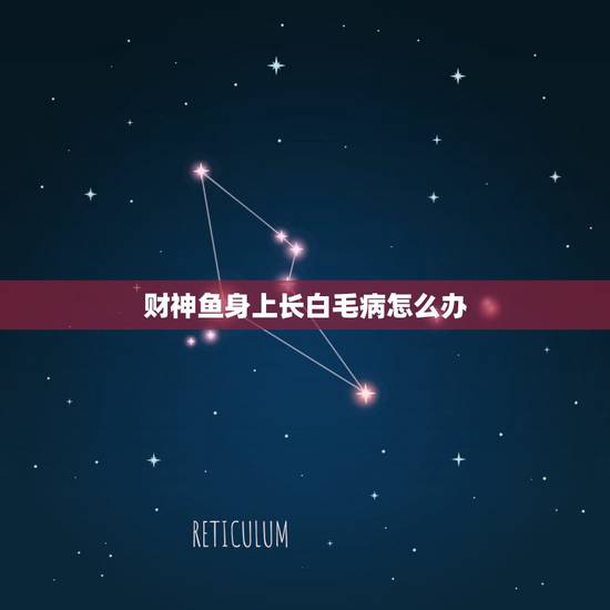 财神鱼身上长白毛病怎么办，发财鱼身体发白如何处理？