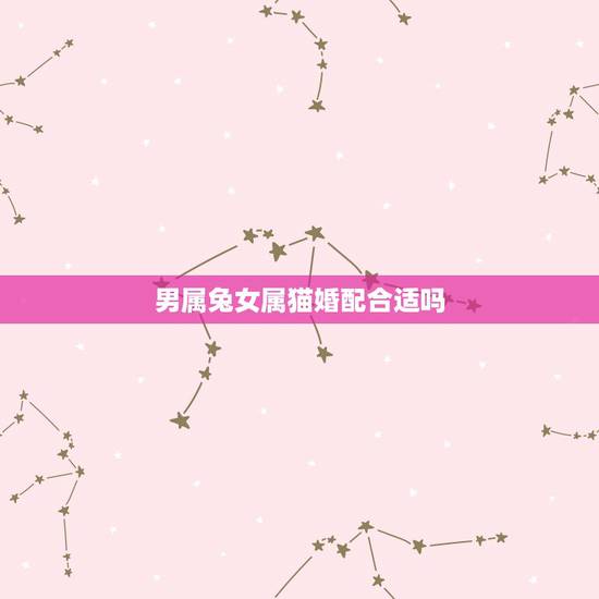 男属兔女属猫婚配合适吗,属相婚配:男属兔和女属猪相配吗 男属兔女属猫婚配合适吗,属相婚配:男属兔和女属猪相配吗