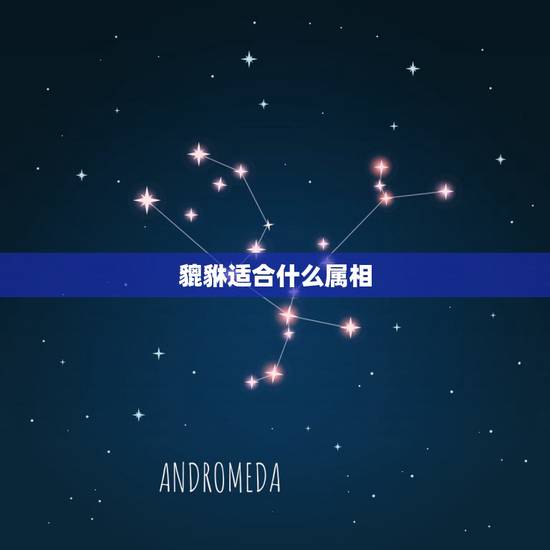 貔貅适合什么属相，貔貅适合什么生肖人戴