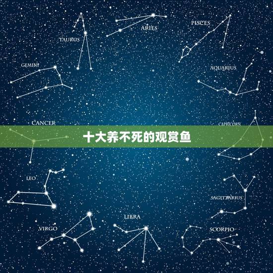 十大养不死的观赏鱼,观赏热带鱼里什么鱼最好养? 十大养不死的观赏鱼,观赏热带鱼里什么鱼最好养?