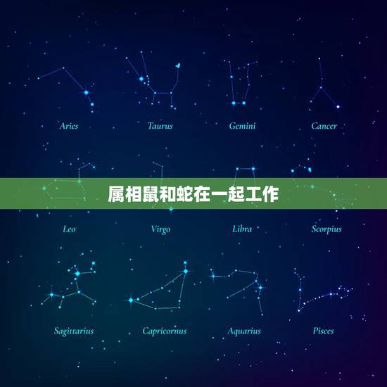 属相鼠和蛇在一起工作，属鼠的和属蛇的能相处吗？