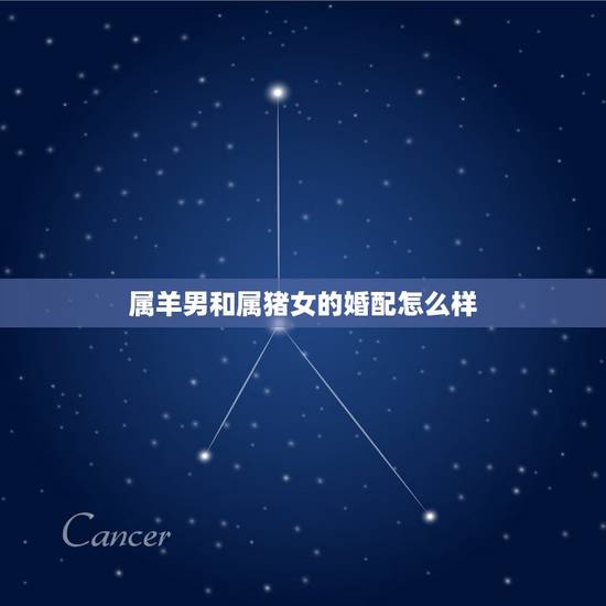 属羊男和属猪女的婚配怎么样，属猪的男性和属羊的女性能和婚吗？