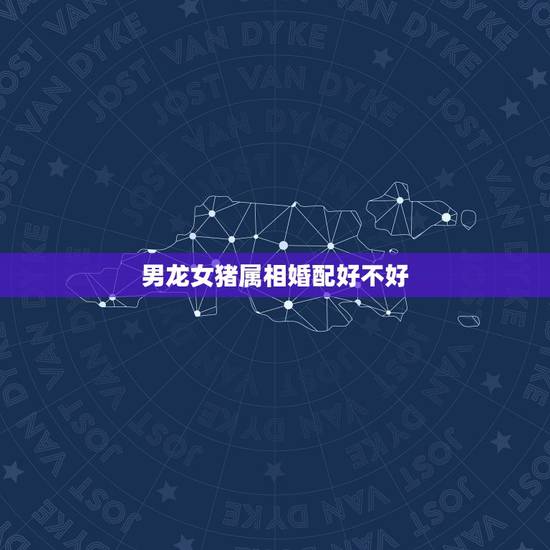 男龙女猪属相婚配好不好，属猪男和属龙女的命运和婚姻