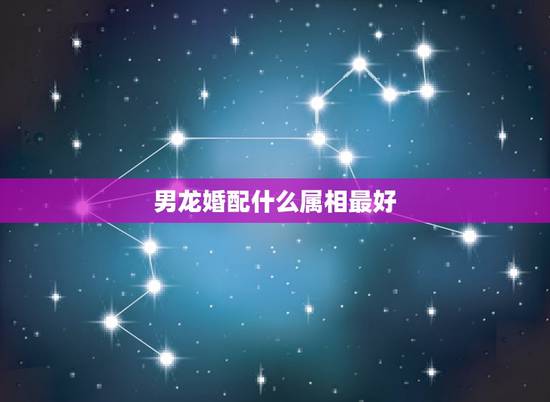 男龙婚配什么属相最好,属龙的和什么属相最配 属龙人的婚配表 男龙婚配什么属相最好,属龙的和什么属相最配 属龙人的婚配表