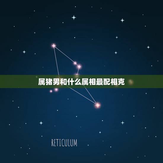 属猪男和什么属相最配相克，属猪人男可以与什么属相相配