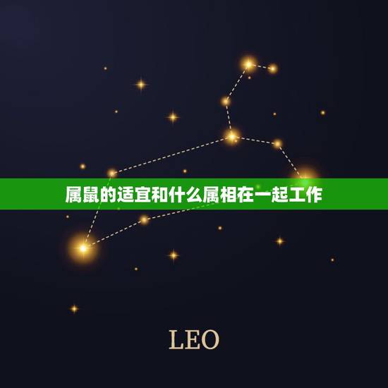 属鼠的适宜和什么属相在一起工作，属鼠人和什么属相合作最好