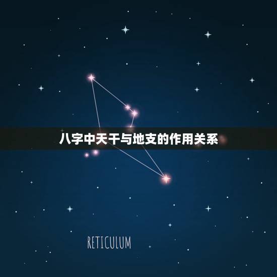 八字中天干与地支的作用关系，流年天干和地支哪个重要
