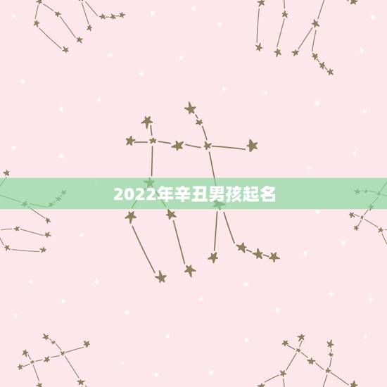 2022年辛丑男孩起名 2022年辛丑男孩起名