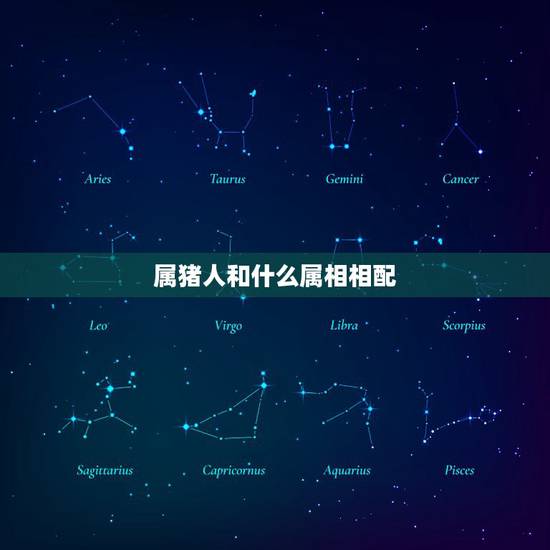 属猪人和什么属相相配，属猪女和什么属相最配