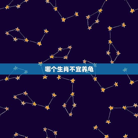 哪个生肖不宜养龟，什么生属人不能养龟？