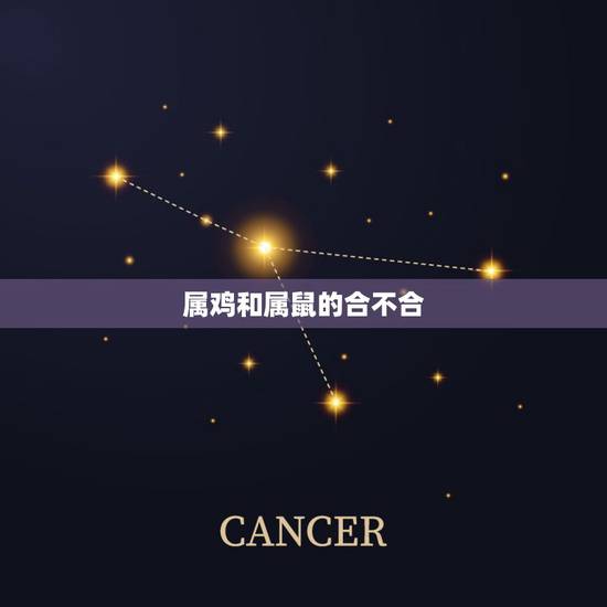 属鸡和属鼠的合不合,属鸡和属鼠的婚姻合不合 属鸡和属鼠的合不合,属鸡和属鼠的婚姻合不合