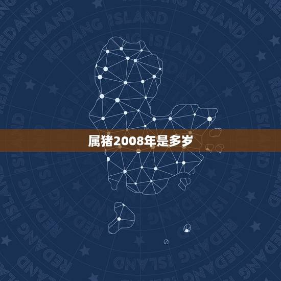 属猪2008年是多岁，2008年出生的今年几岁