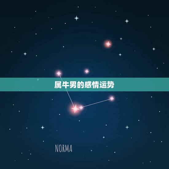 属牛男的感情运势，属牛男人今年运气如何