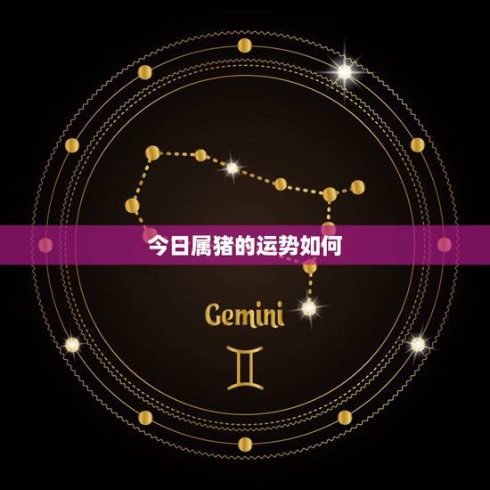 今日属猪的运势如何,2017年属猪的人运程如何? 今日属猪的运势如何,2017年属猪的人运程如何?
