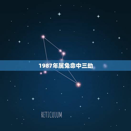 1987年属兔命中三劫 1987年属兔何时翻身 1987年属兔命中三劫 1987年属兔何时翻身