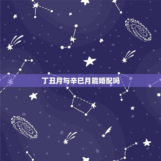 丁丑月与辛巳月能婚配吗，求八字合婚怎么样