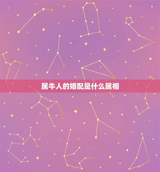 属牛人的婚配是什么属相，男女婚配属相最佳搭配怎么搭配