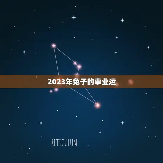 2023年兔子的事业运