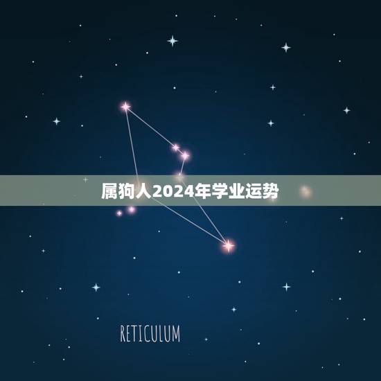 属狗人2024年学业运势，2006年属狗一生运势