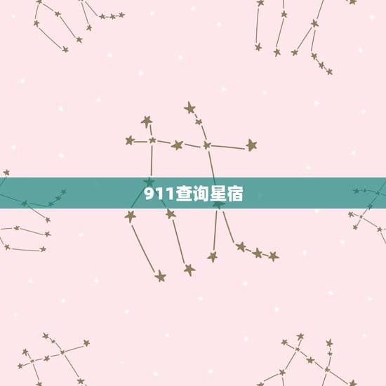 911查询星宿，本命星宿查询