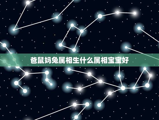 爸鼠妈兔属相生什么属相宝宝好，鼠妈兔爸生什么属相的宝宝好