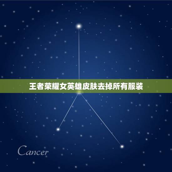 王者荣耀女英雄皮肤去掉所有服装，王者荣耀去掉所有服装