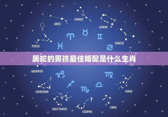 属蛇的男孩最佳婚配是什么生肖,蛇和什么生肖最配?属蛇的属相婚配表大全 属蛇的男孩最佳婚配是什么生肖,蛇和什么生肖最配?属蛇的属相婚配表大全