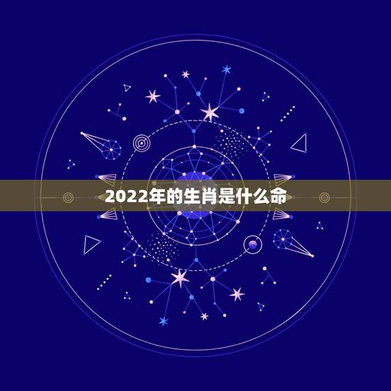 2022年的生肖是什么命，2022年五行属什么