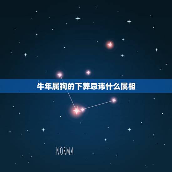 牛年属狗的下葬忌讳什么属相,属狗的人去世2019下葬哪一方最佳? 牛年属狗的下葬忌讳什么属相,属狗的人去世2019下葬哪一方最佳?