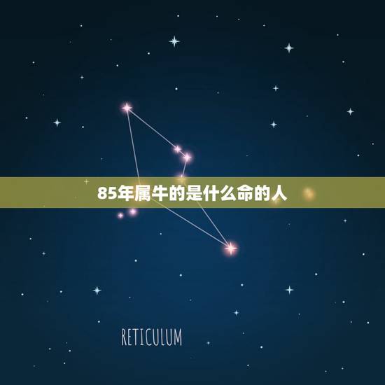 85年属牛的是什么命的人,1985年属牛是什么命和哪个命最相配 85年属牛的是什么命的人,1985年属牛是什么命和哪个命最相配