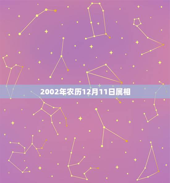 2002年农历12月11日属相,农历2002年12月10日是属什么生肖 2002年农历12月11日属相,农历2002年12月10日是属什么生肖