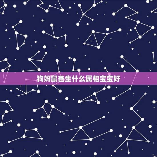 狗妈鼠爸生什么属相宝宝好,94狗和96鼠合不合 狗妈鼠爸生什么属相宝宝好,94狗和96鼠合不合