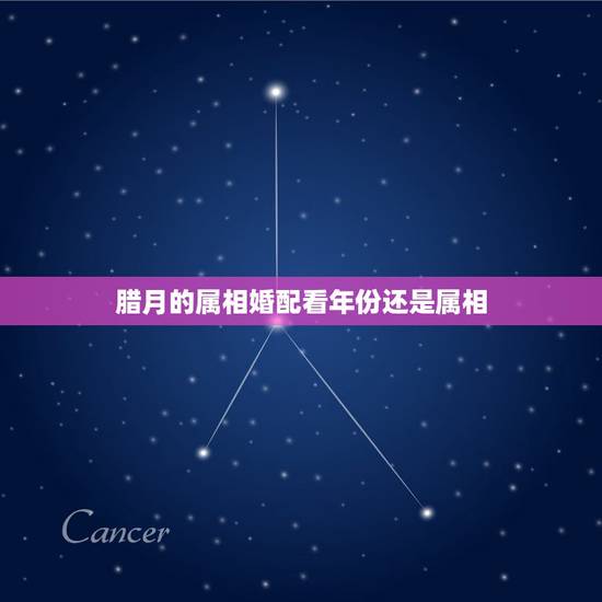 腊月的属相婚配看年份还是属相，属相婚配是以年月日中哪个属相