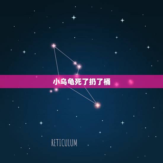 小乌龟死了扔了桶,乌龟死了可以扔掉吗 小乌龟死了扔了桶,乌龟死了可以扔掉吗