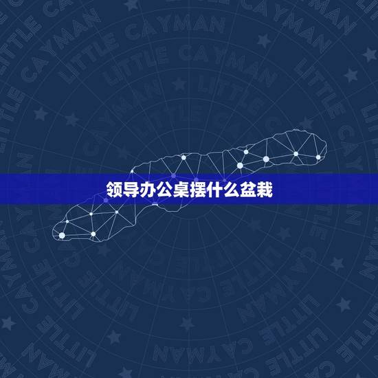 领导办公桌摆什么盆栽,有哪些适合放在办公桌的盆景植物? 领导办公桌摆什么盆栽,有哪些适合放在办公桌的盆景植物?
