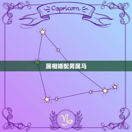 属相婚配男属马，属相婚配：男属马和女属鼠相配吗