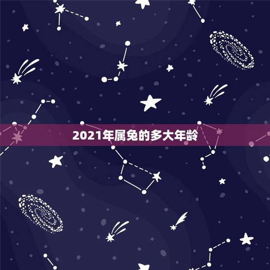 2021年属兔的多大年龄,2021年属兔的多大年龄? 2021年属兔的多大年龄,2021年属兔的多大年龄?