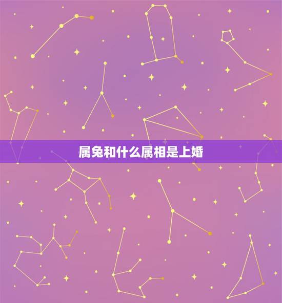 属兔和什么属相是上婚，属兔和什么属相最配