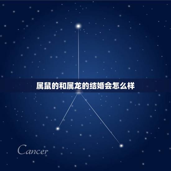 属鼠的和属龙的结婚会怎么样,男鼠和女龙结婚好不好 属鼠的和属龙的结婚会怎么样,男鼠和女龙结婚好不好