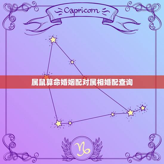 属鼠算命婚姻配对属相婚配查询，属鼠的和什么属相最配 属鼠的属相婚配表