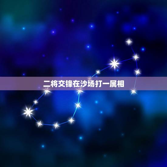 二将交锋在沙场打一属相,二将交锋在沙场:猜一生肖 二将交锋在沙场打一属相,二将交锋在沙场:猜一生肖