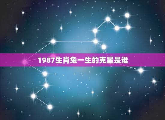 1987生肖兔一生的克星是谁，1987年属兔人的命运
