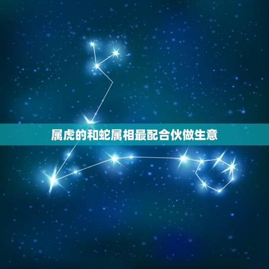 属虎的和蛇属相最配合伙做生意，属蛇人和属虎人能一起合作共事吗？