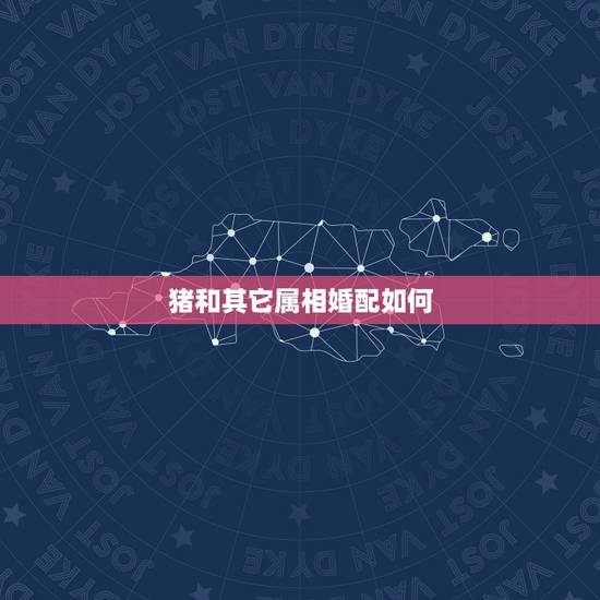 猪和其它属相婚配如何,生肖猪和哪个属相相配 猪和其它属相婚配如何,生肖猪和哪个属相相配