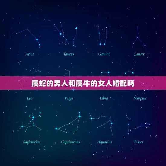 属蛇的男人和属牛的女人婚配吗，属牛女和属蛇男配吗