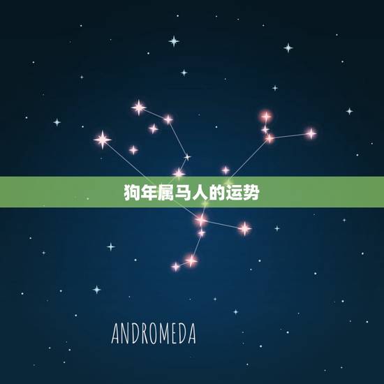 狗年属马人的运势,属马跟属狗的财运怎样 狗年属马人的运势,属马跟属狗的财运怎样