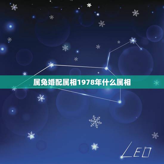 属兔婚配属相1978年什么属相，属相婚配，属兔的和什么属相最配