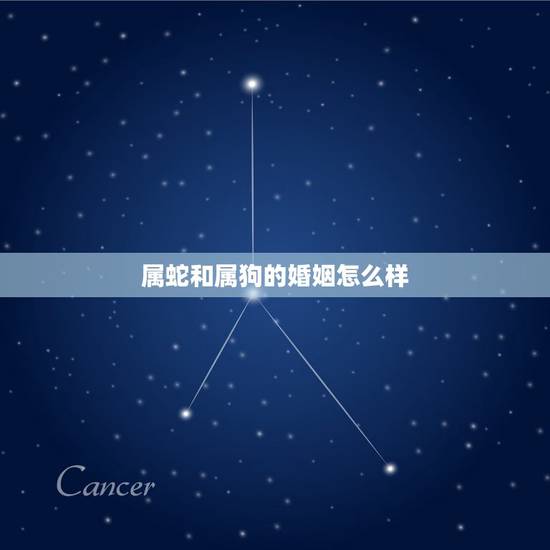 属蛇和属狗的婚姻怎么样,1994年的狗与蛇相配吗 属蛇和属狗的婚姻怎么样,1994年的狗与蛇相配吗