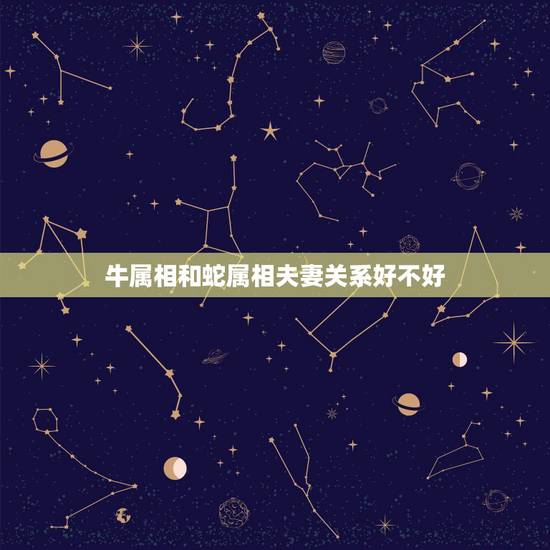 牛属相和蛇属相夫妻关系好不好，属牛和属蛇可以结为夫妻吗